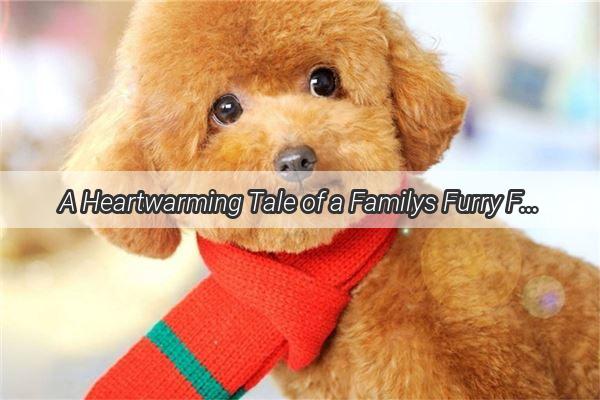 A Heartwarming Tale of a Familys Furry Friend How Max Brought Us Together